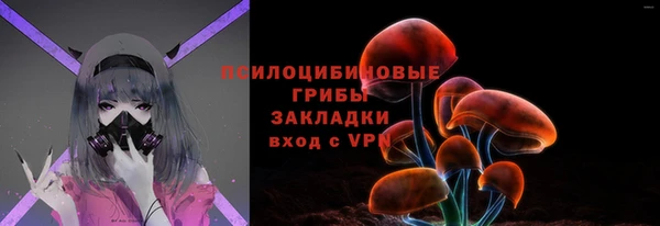 дживик Пестово