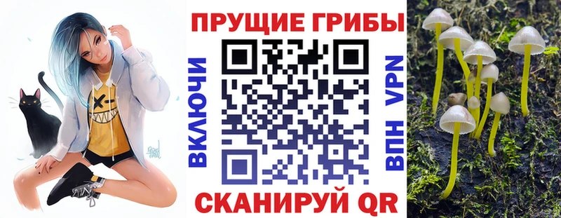 ОМГ ОМГ зеркало  Пермь  Псилоцибиновые грибы Cubensis  где купить наркоту 